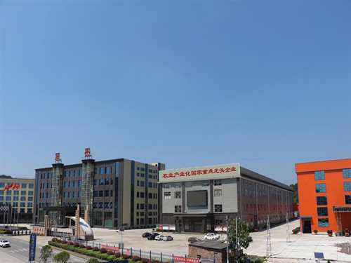 公司全景